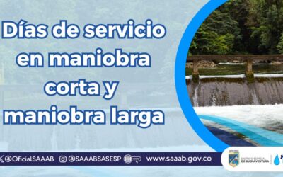 DÍAS DE SERVICIO POR MANIOBRAS DURANTE EL MES DE MARZO