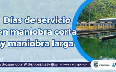 DÍAS DE SERVICIO EN MANIOBRA CORTA Y MANIOBRA LARGA