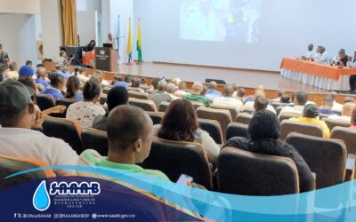 PARTICIPACIÓN DE LA SAAB EN LA AUDIENCIA PÚBLICA DEL ESTADIO MARINO KLINGER.