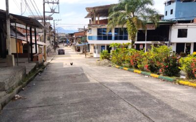 OBRA DE REPOSICIÓN DE ALCANTARILLADO Y PAVIMENTACIÓN EN EL BARRIO EUCARÍSTICO.
