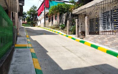 REPOSICIÓN DE ALCANTARILLADO Y PAVIMENTO DE LA CALLE BOLIPAN
