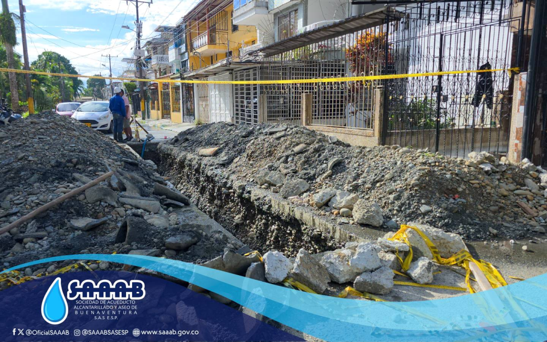 𝐓𝐫𝐚𝐛𝐚𝐣𝐨𝐬 𝐝𝐞 𝐑𝐞𝐩𝐨𝐬𝐢𝐜𝐢𝐨́𝐧 𝐝𝐞 𝐑𝐞𝐝 𝐝𝐞 𝐀𝐥𝐜𝐚𝐧𝐭𝐚𝐫𝐢𝐥𝐥𝐚𝐝𝐨