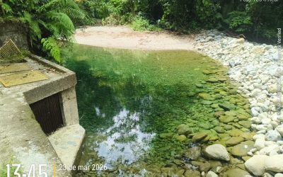 BALANCE GERENTE ALERTA NARANJA MARZO 2026